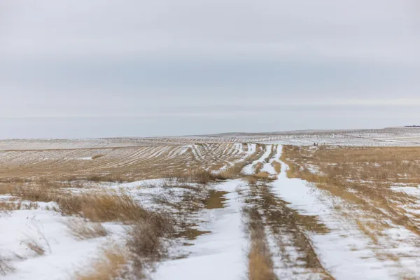 $700,000 | 49 Southwest St 200a Hebron Nd 58638, Hebron, ND 58638