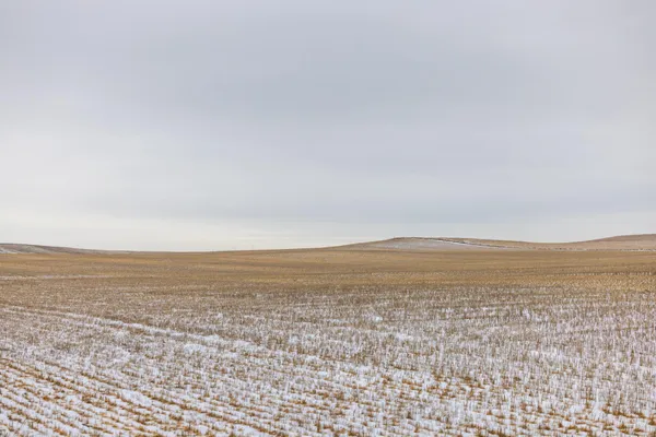 $700,000 | 49 Southwest St 200a Hebron Nd 58638, Hebron, ND 58638