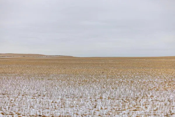 $700,000 | 49 Southwest St 200a Hebron Nd 58638, Hebron, ND 58638