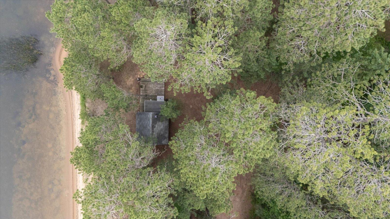 66561 Bayview Road Effie, MN 56639 - Photo 2 of 24