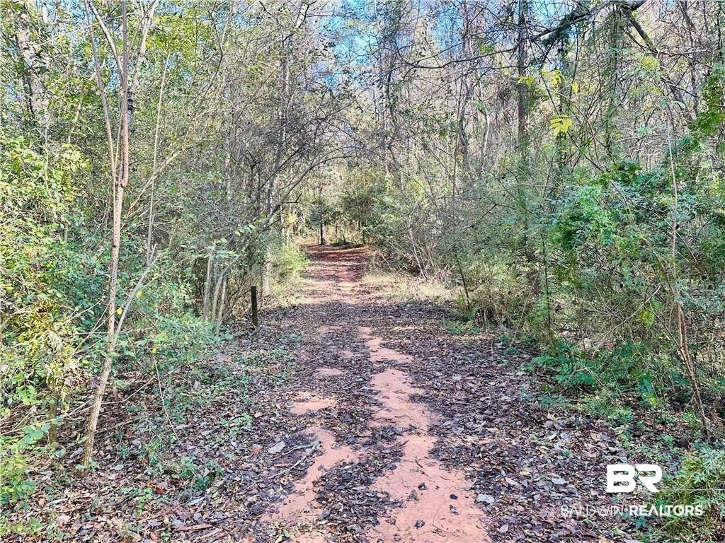 0 North Branson Drive Mobile, AL 36695 - Photo 1 of 20 View of landscape