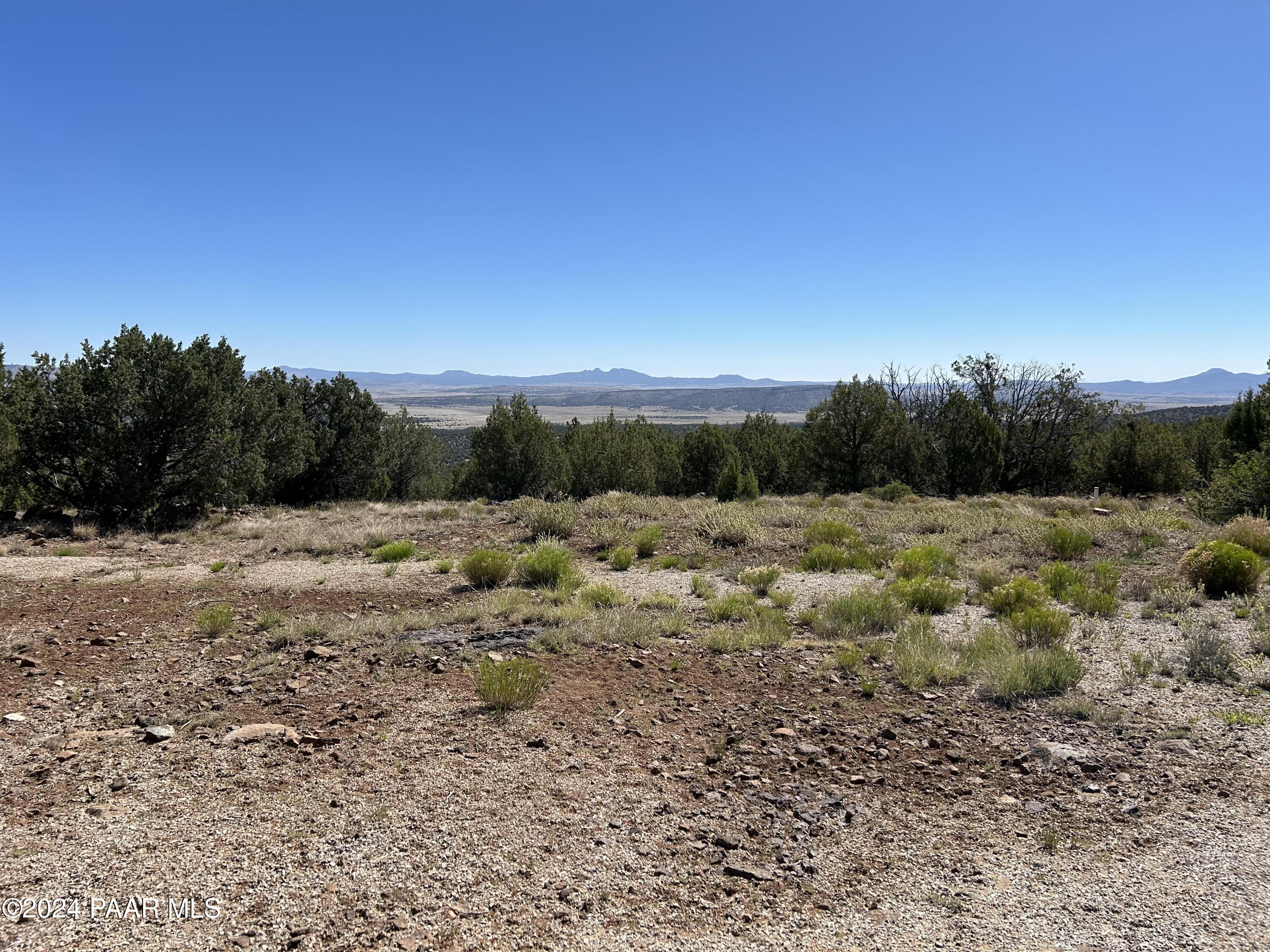 46450 North Edge Ridge Road Seligman, AZ 86337 - Photo 3 of 30 View 3