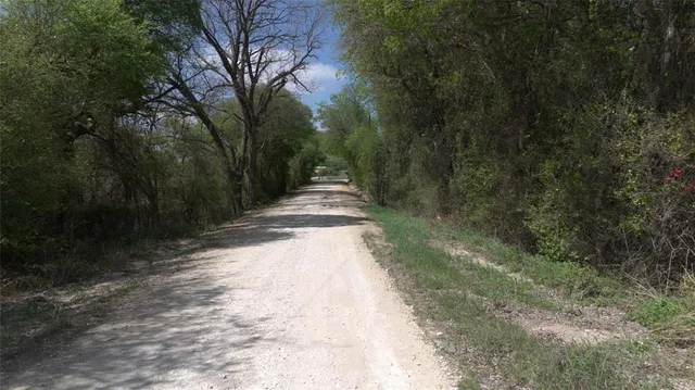 a view of a yard with plants and trees
