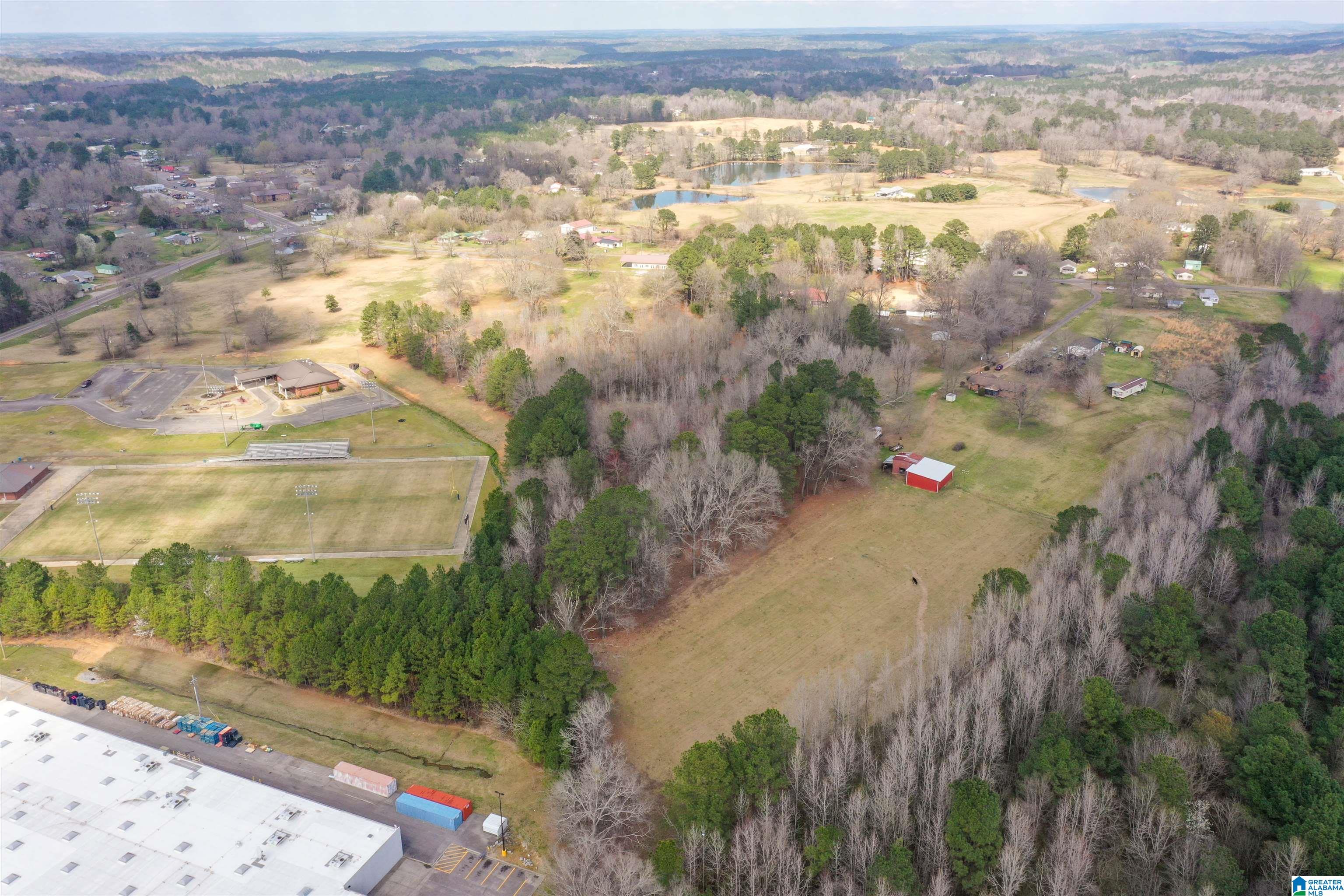 115 Thomas Road Sumiton, AL 35148 - Photo 43 of 46