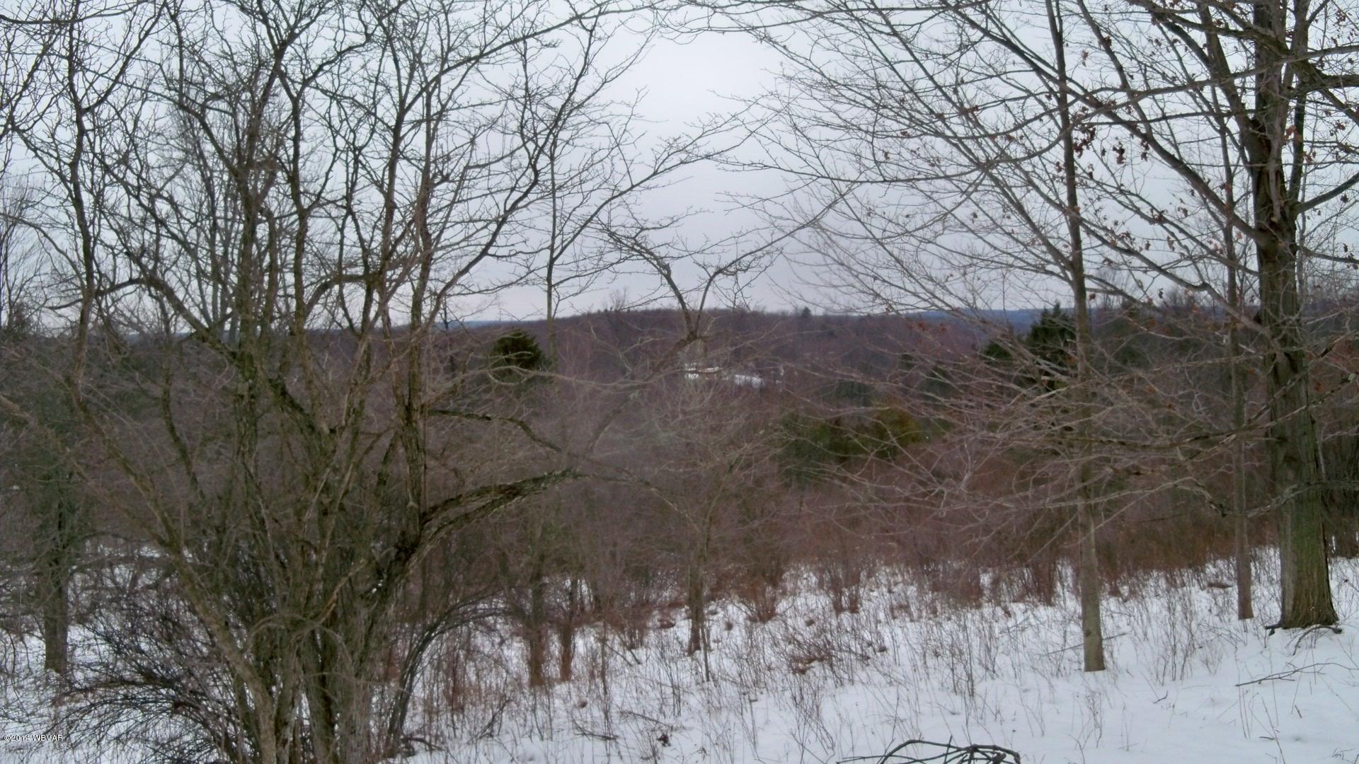 616 Rouse Pond Road Lopez, PA 18628 - Photo 10 of 49 100_7304