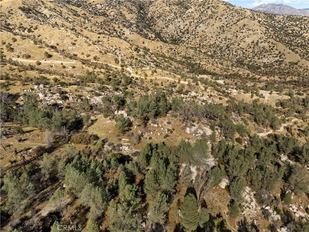 0 No Address Caliente, CA 93518 - Photo 8 of 17 a view of a yard