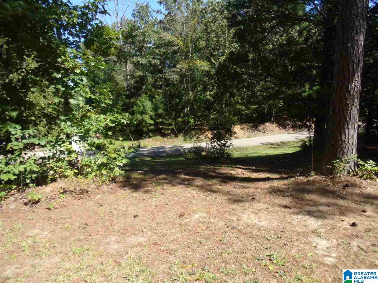 21353 Washington Drive Vance, AL 35490 - Photo 41 of 48
