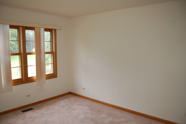 680 Red Maple Lane Roselle, IL 60172 - Photo 11 of 18