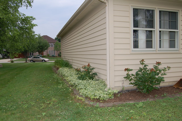 680 Red Maple Lane Roselle, IL 60172 - Photo 4 of 18