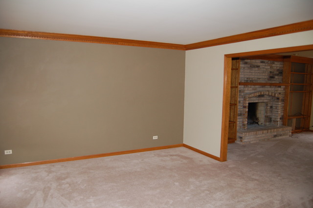 680 Red Maple Lane Roselle, IL 60172 - Photo 6 of 18