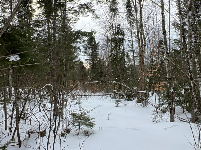 $559,000 | Lot 2-18 Shin Pond Rd Mount, Mount Chase, ME 04765