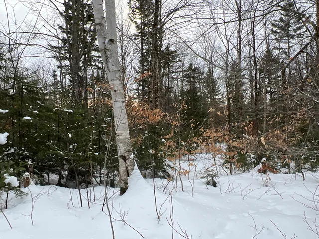 $559,000 | Lot 2-18 Shin Pond Rd Mount, Mount Chase, ME 04765