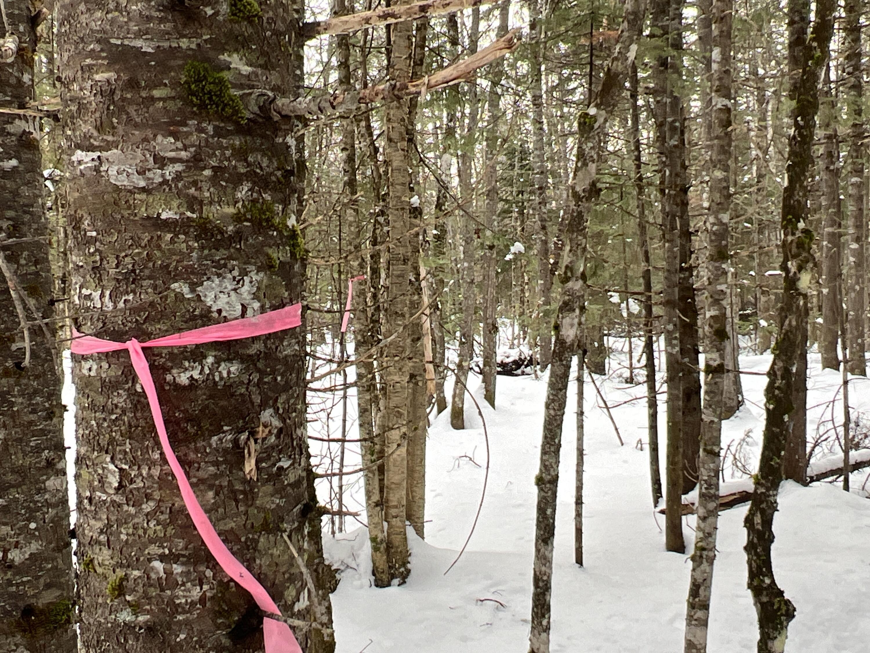 Lot 2-18 Shin Pond Rd Mount Mount Chase, ME 04765 - Photo 18 of 22 IMG_3971