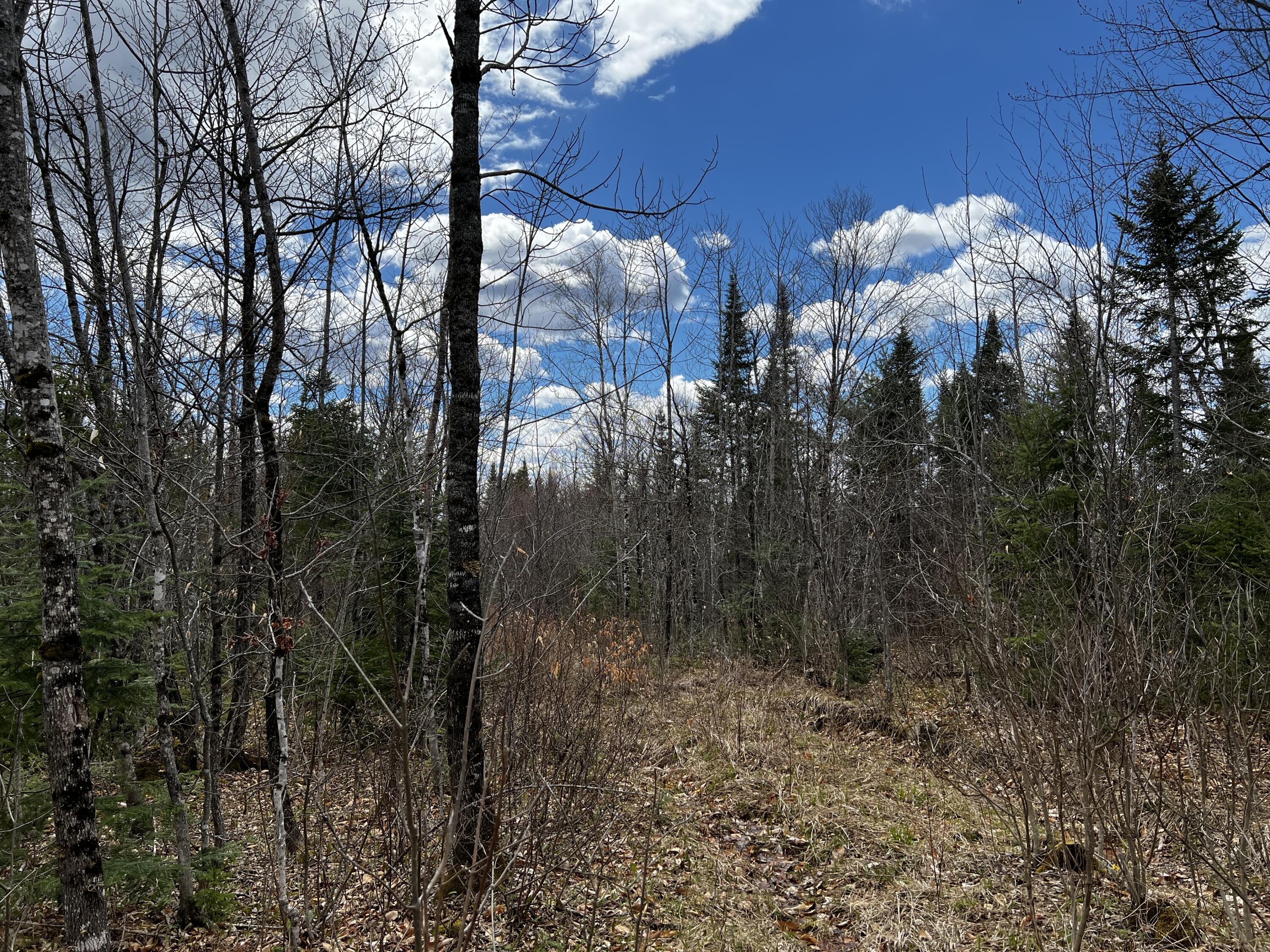 Lot 2-18 Shin Pond Rd Mount Mount Chase, ME 04765 - Photo 18 of 25 IMG_4150