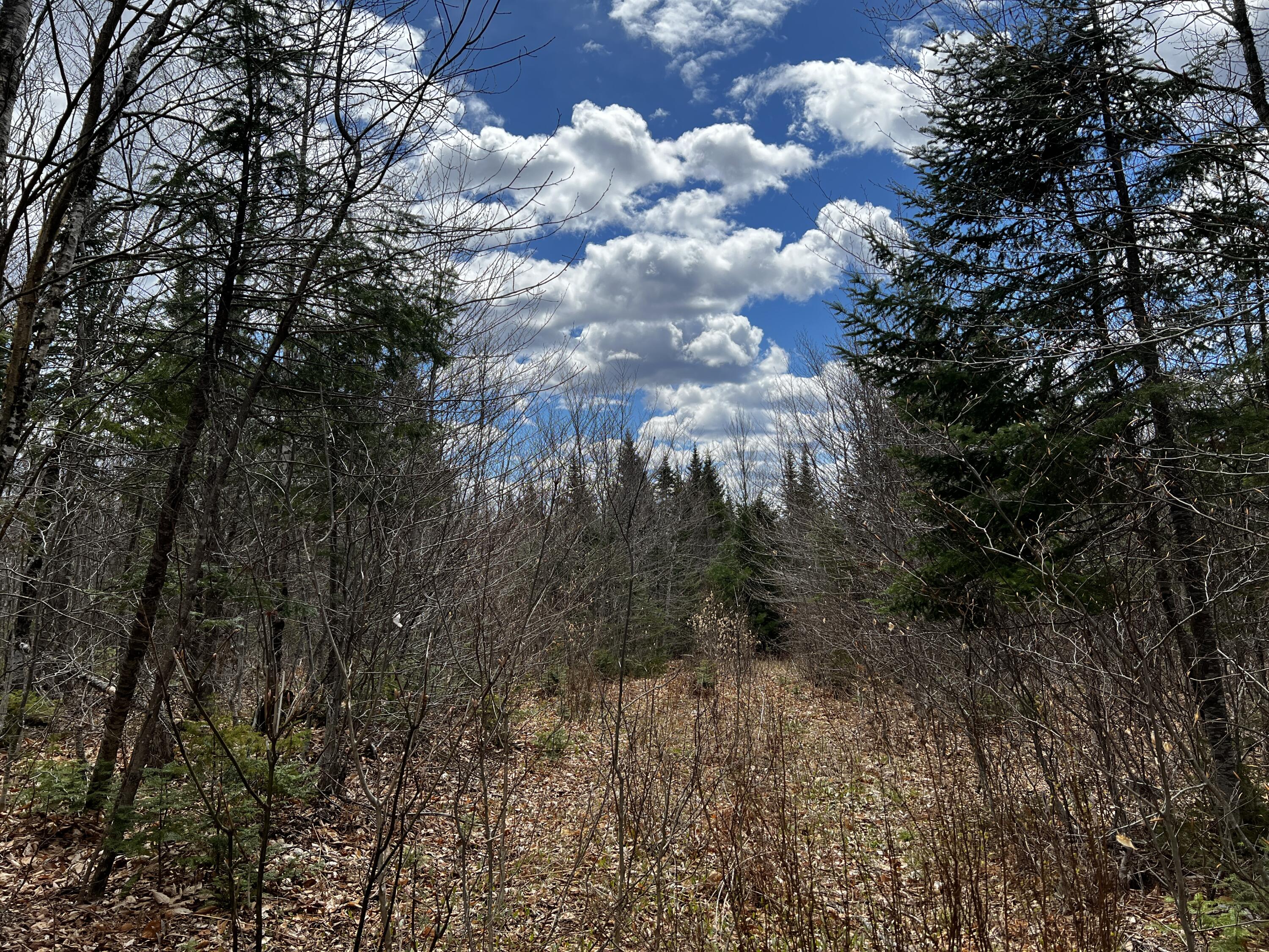Lot 2-18 Shin Pond Rd Mount Mount Chase, ME 04765 - Photo 19 of 25 IMG_4151