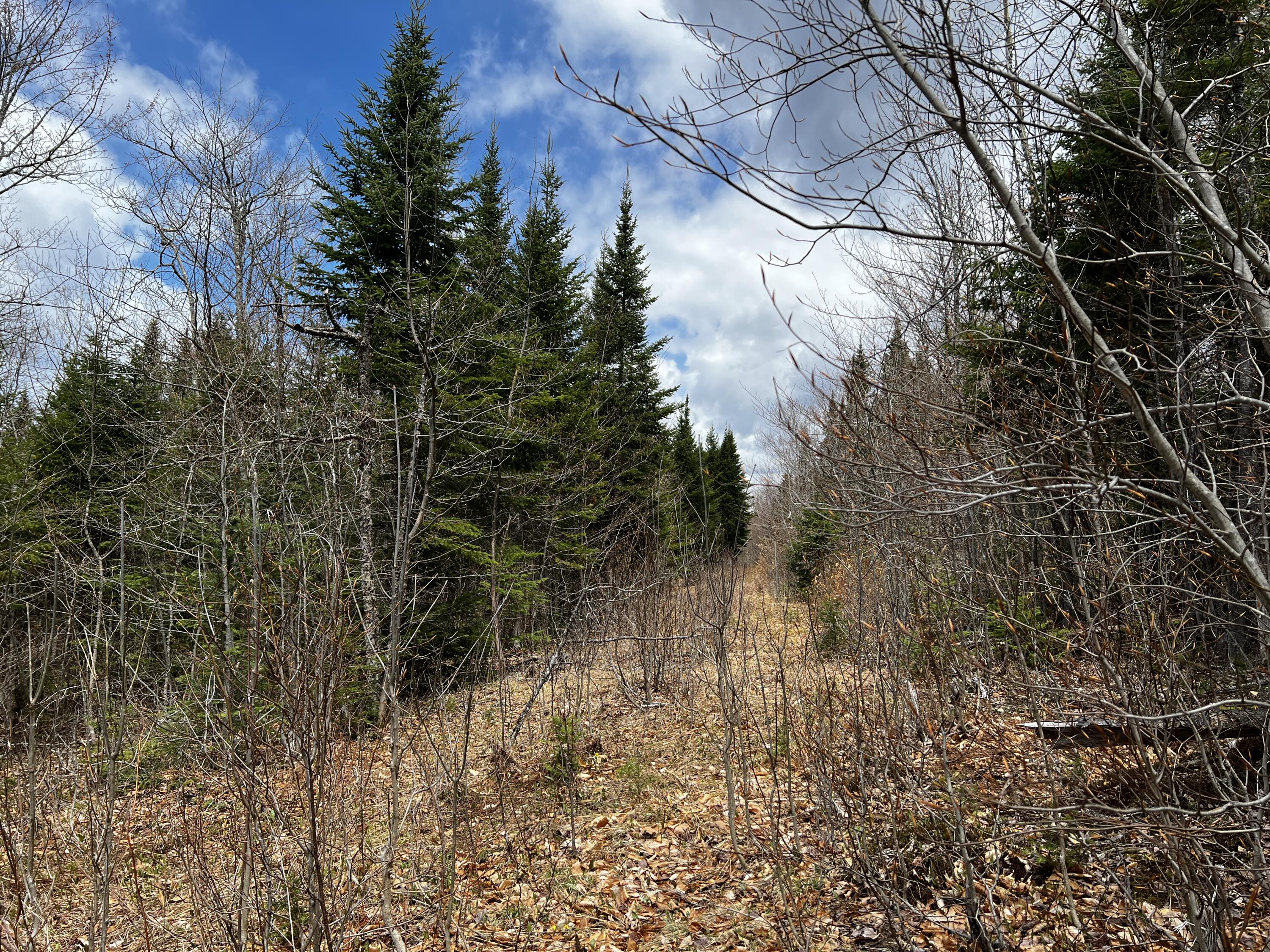 Lot 2-18 Shin Pond Rd Mount Mount Chase, ME 04765 - Photo 20 of 25 IMG_4149