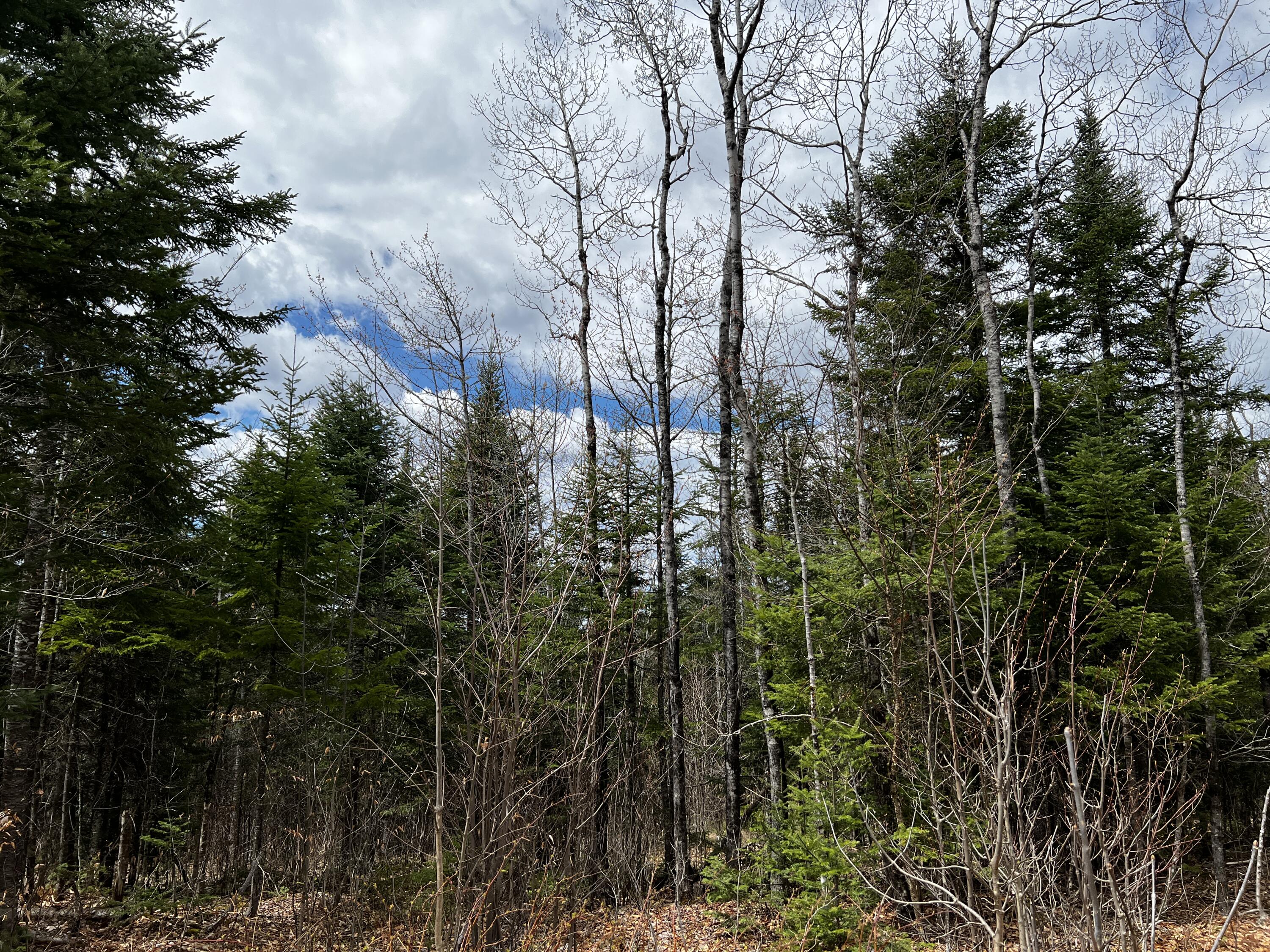 Lot 2-18 Shin Pond Rd Mount Mount Chase, ME 04765 - Photo 21 of 25 IMG_4148