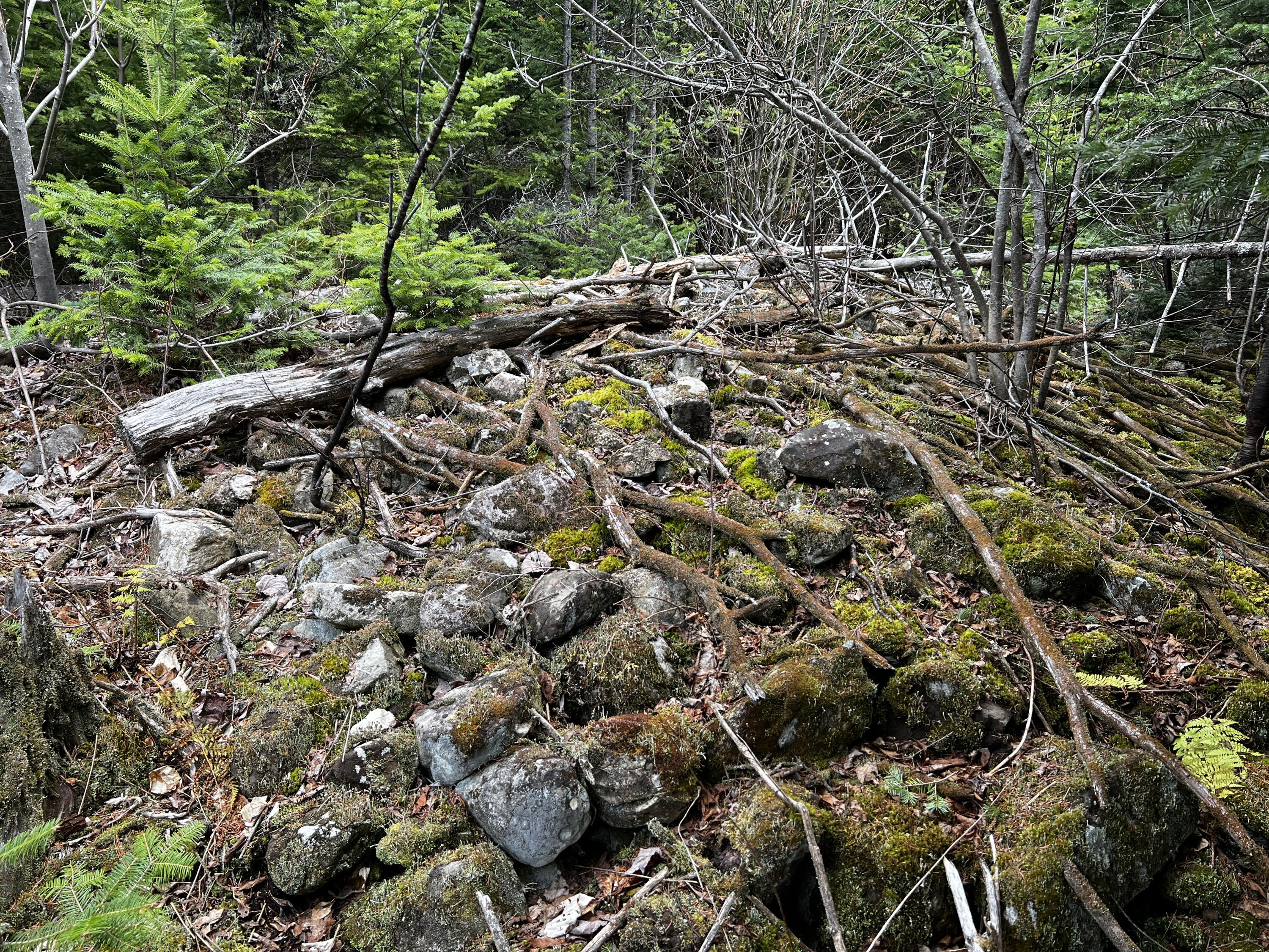 Lot 2-18 Shin Pond Rd Mount Mount Chase, ME 04765 - Photo 23 of 25 IMG_4159