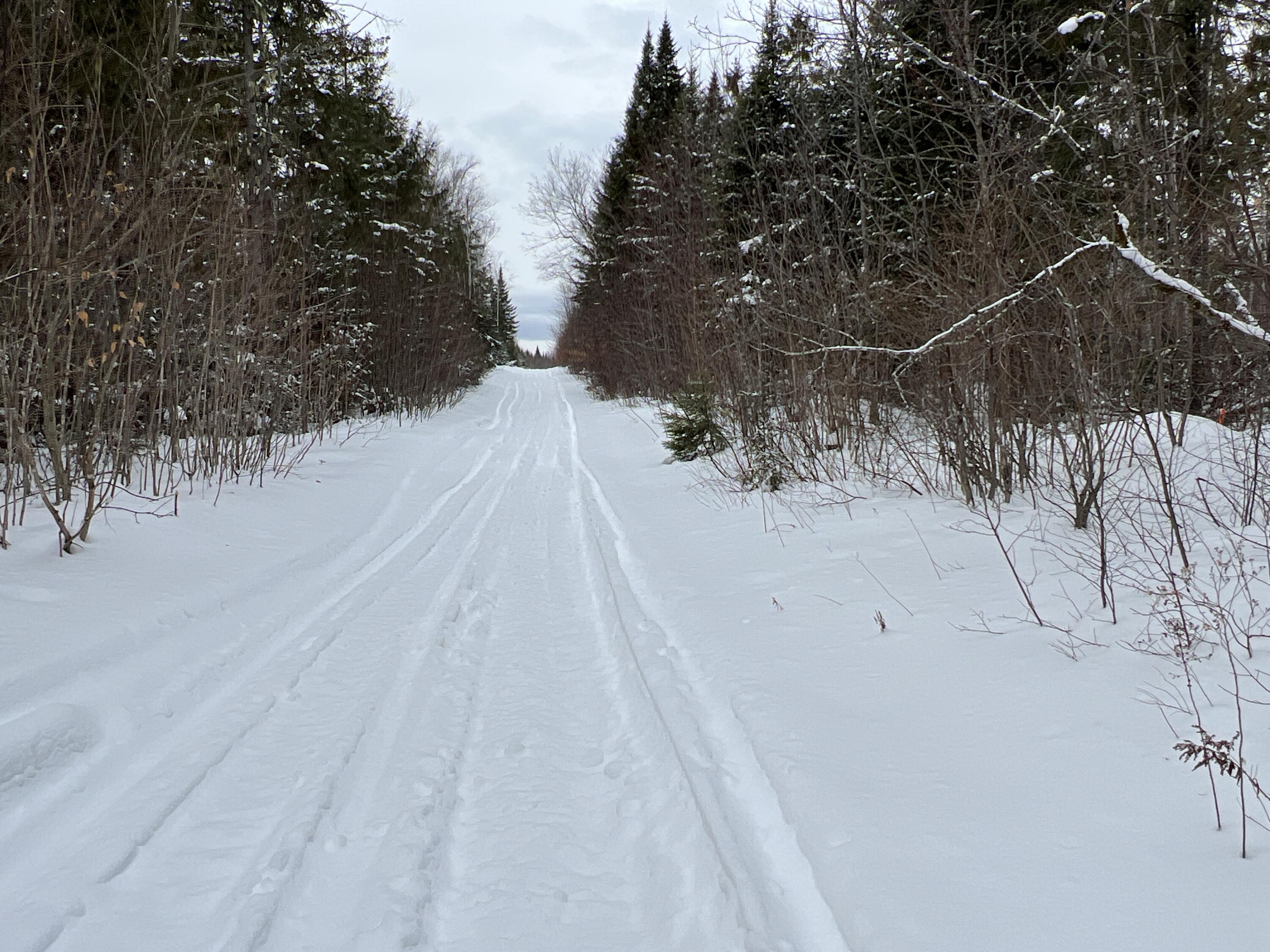 Lot 2-18 Shin Pond Rd Mount Mount Chase, ME 04765 - Photo 3 of 22 IMG_3955