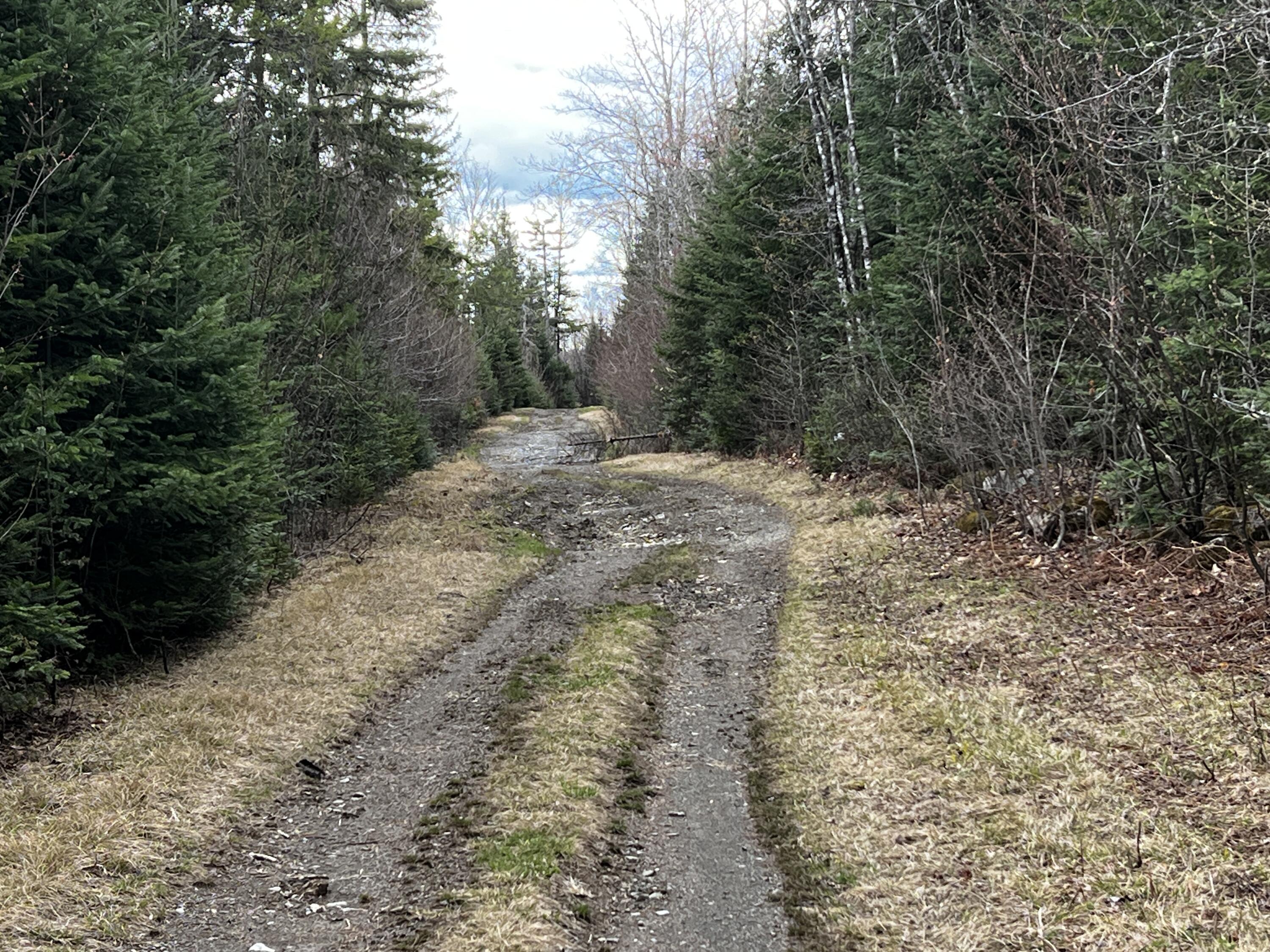 Lot 2-18 Shin Pond Rd Mount Mount Chase, ME 04765 - Photo 4 of 25 IMG_4137