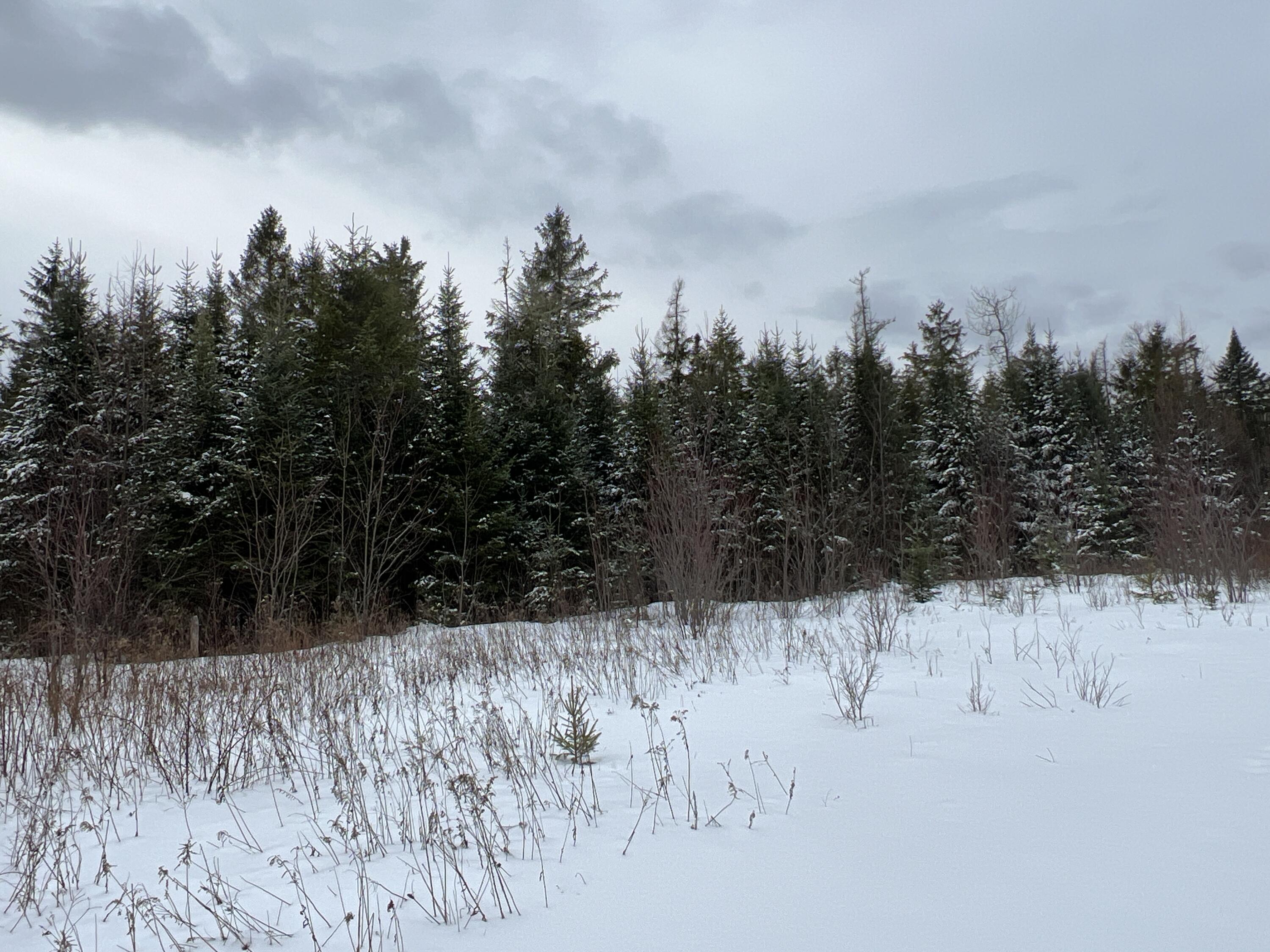 Lot 2-18 Shin Pond Rd Mount Mount Chase, ME 04765 - Photo 5 of 22 IMG_3957