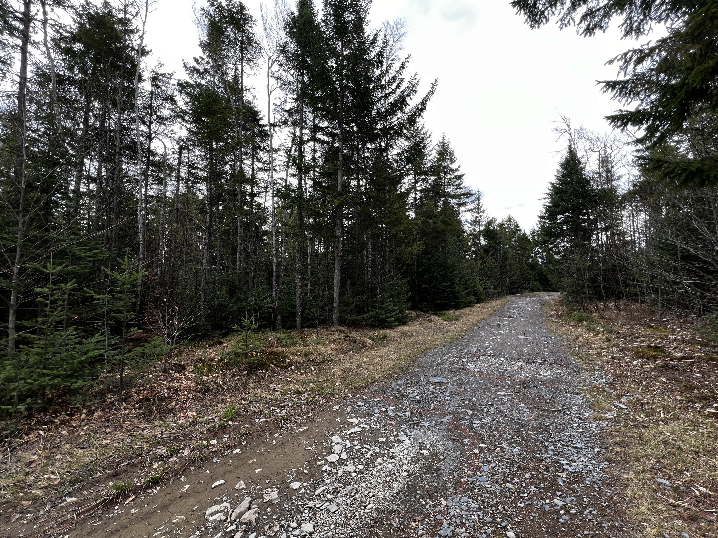 Lot 2-18 Shin Pond Rd Mount Mount Chase, ME 04765 - Photo 9 of 25 IMG_4134