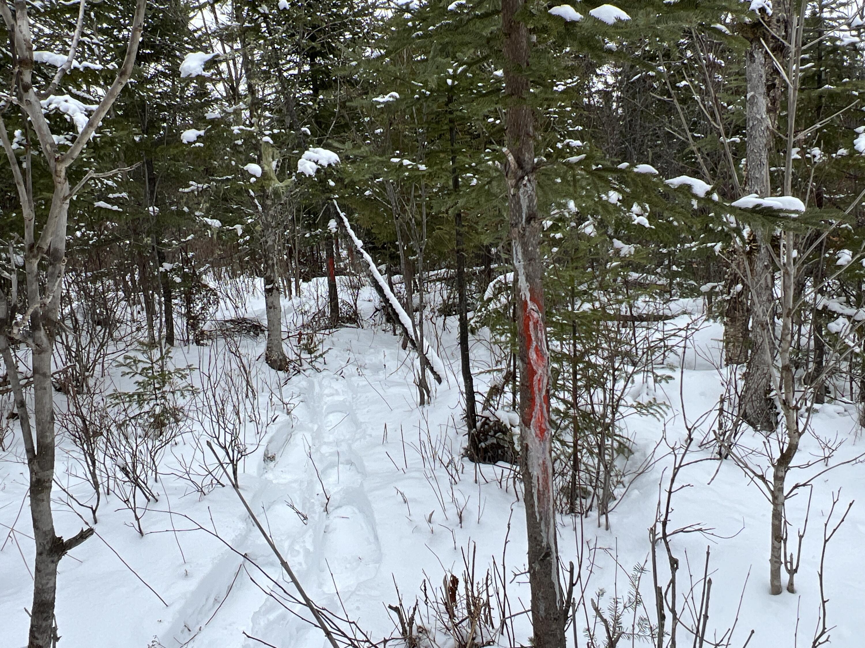 Lot 2-18 Shin Pond Rd Mount Mount Chase, ME 04765 - Photo 9 of 22 IMG_3961