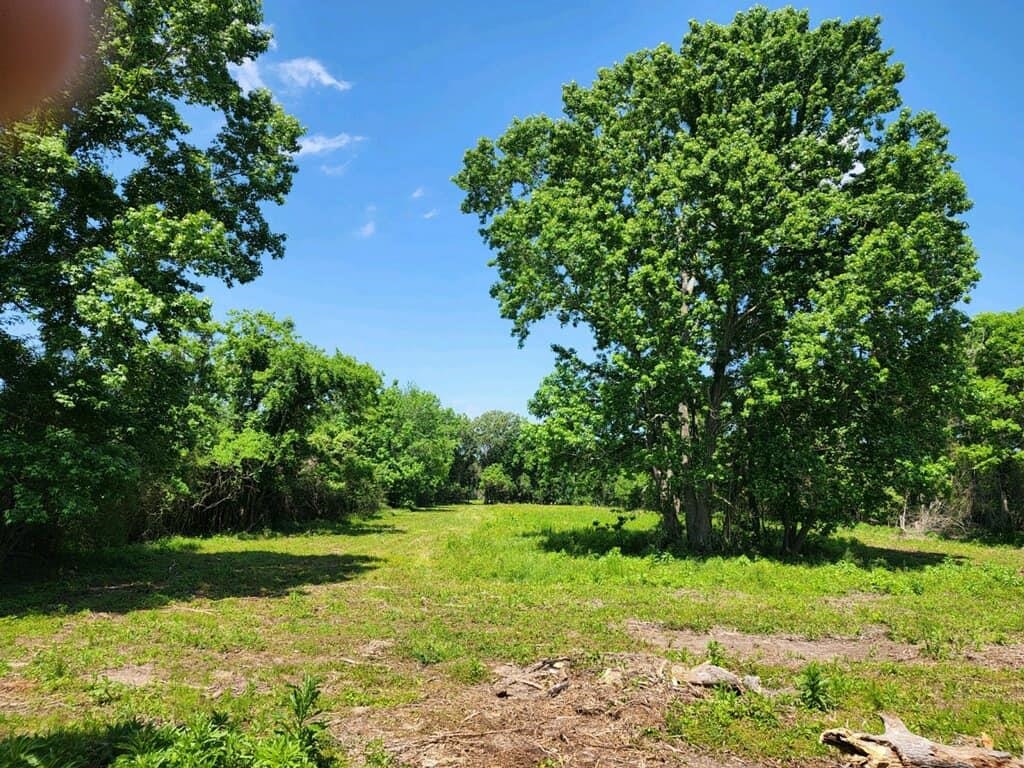 15546 Sour Lake Road Beaumont, TX 77713 - Photo 10 of 35
