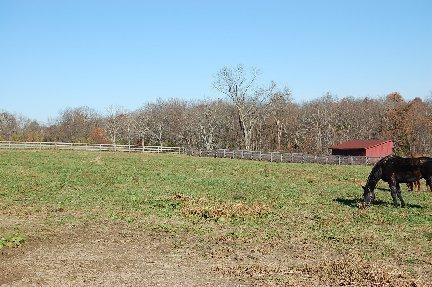 704 Sebree Road Stamping Ground, KY 40379 - Photo 1 of 6 Photo 1