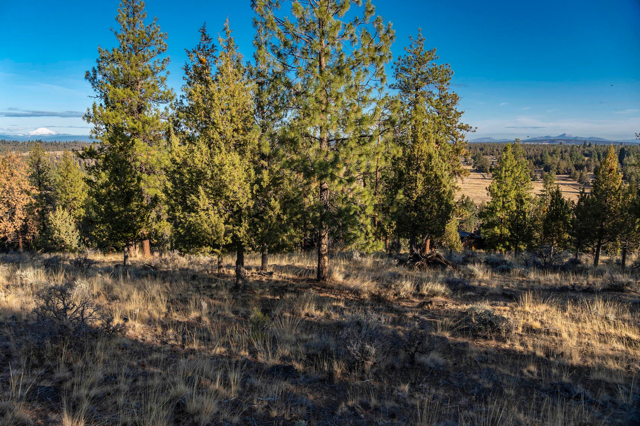 1614 Northwest Wild Rye Circle Bend, OR 97703 - Photo 23 of 30 1614 NW Wild Rye 018 copy