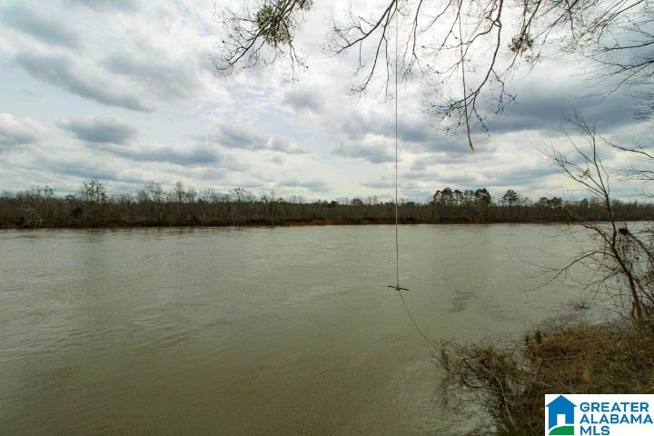 2391 Lock 3 Road Ragland, AL 35131 - Photo 26 of 37