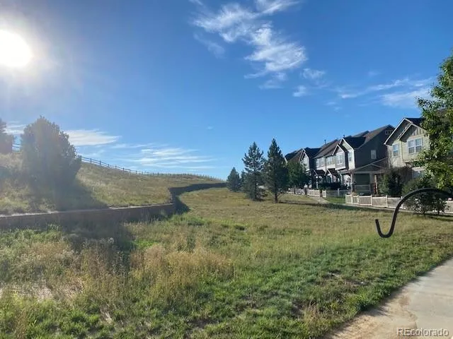 a view of a yard in front of the house