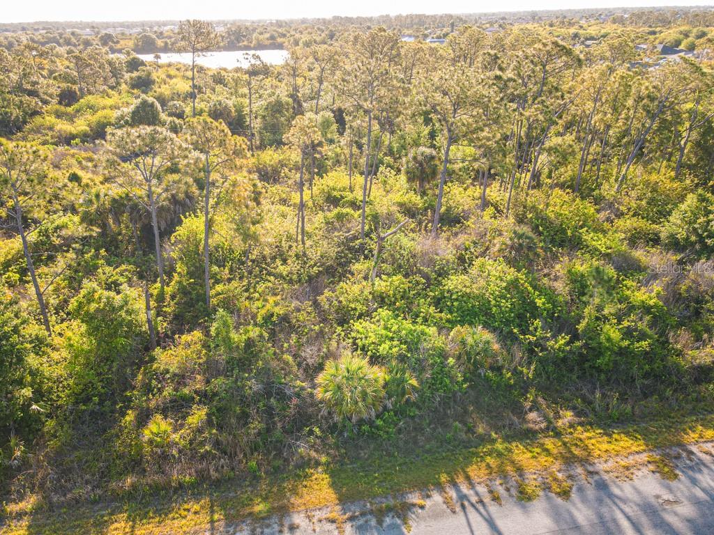 Blueleaf Dr Port North Port, FL 34288 - Photo 9 of 16
