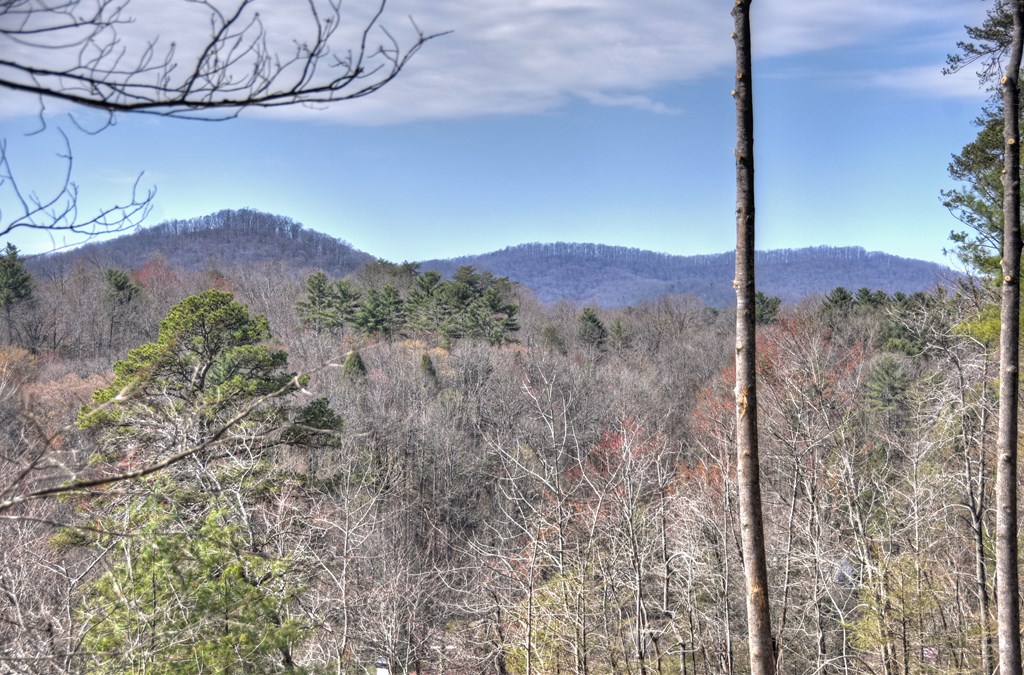 1204 Settler's Ridge Road Ellijay, GA 30540 - Photo 14 of 62 a view of a house with a mountain