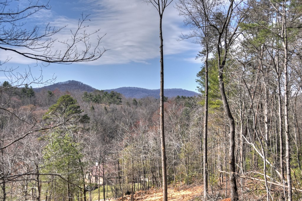 1204 Settler's Ridge Road Ellijay, GA 30540 - Photo 15 of 62 a view of a outdoor space