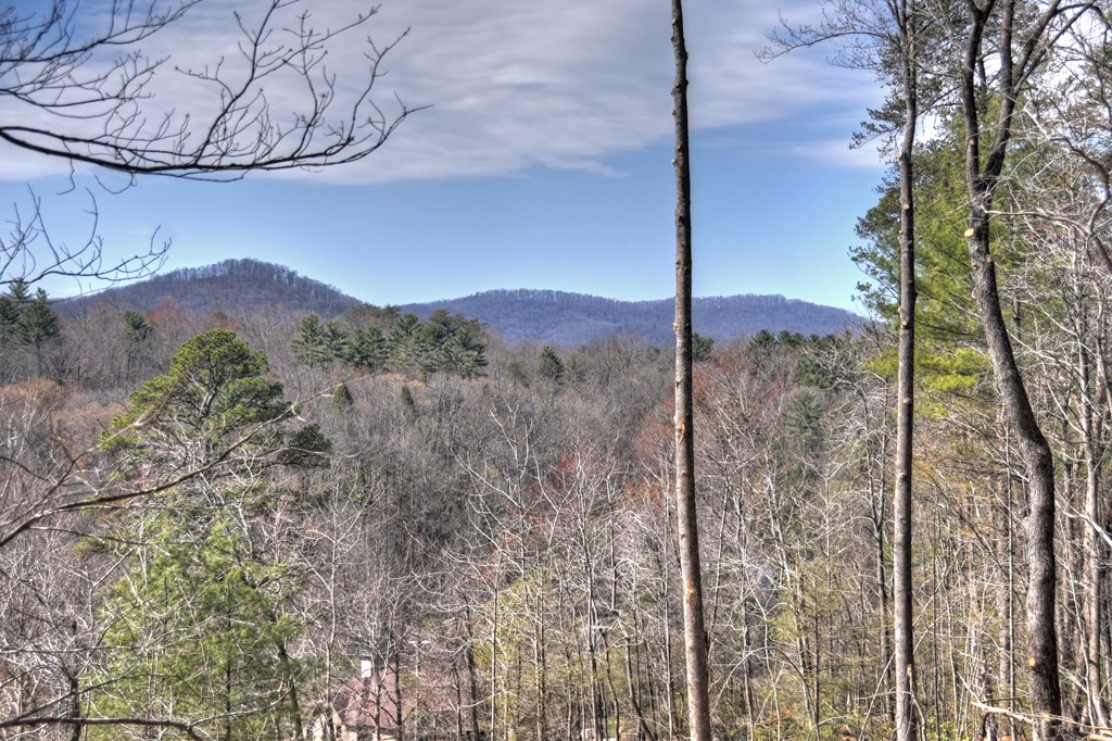 1204 Settler's Ridge Road Ellijay, GA 30540 - Photo 16 of 62