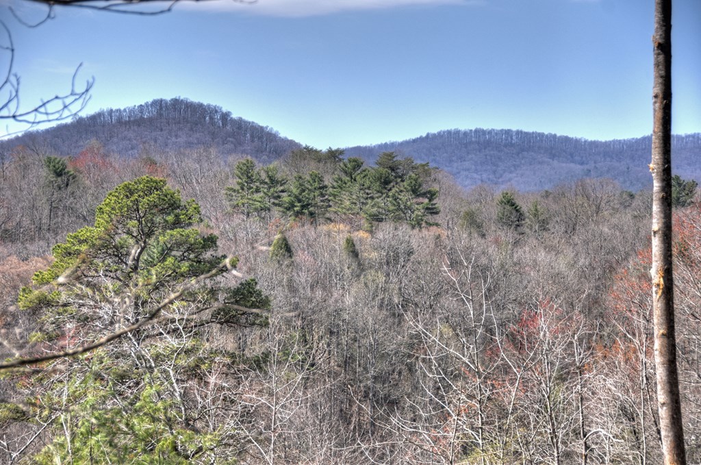 1204 Settler's Ridge Road Ellijay, GA 30540 - Photo 17 of 62 a view of a dry in middle of a field