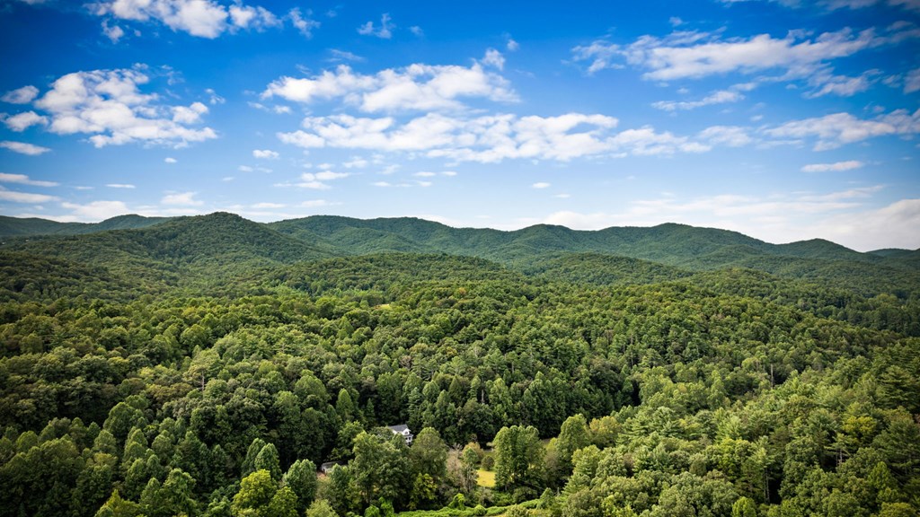 1204 Settler's Ridge Road Ellijay, GA 30540 - Photo 2 of 62 a view of a city with lots of trees