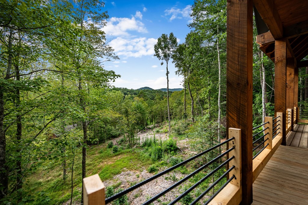 1204 Settler's Ridge Road Ellijay, GA 30540 - Photo 23 of 62