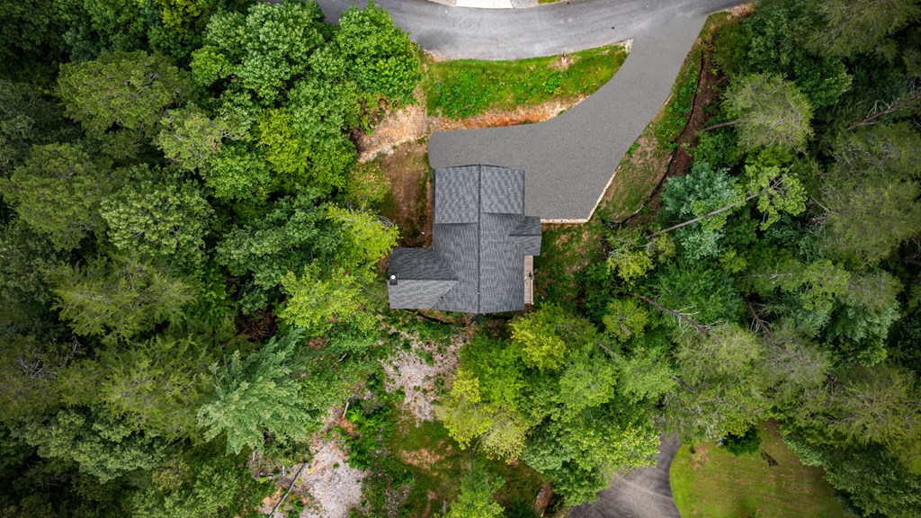 1204 Settler's Ridge Road Ellijay, GA 30540 - Photo 27 of 62 an aerial view of garden