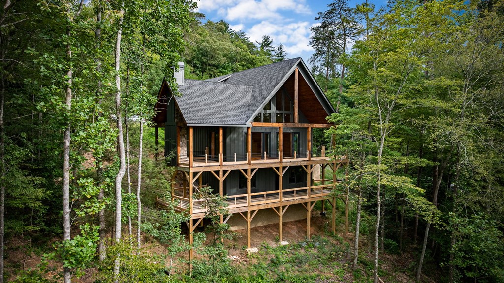 1204 Settler's Ridge Road Ellijay, GA 30540 - Photo 28 of 62 a house with tall trees in the background