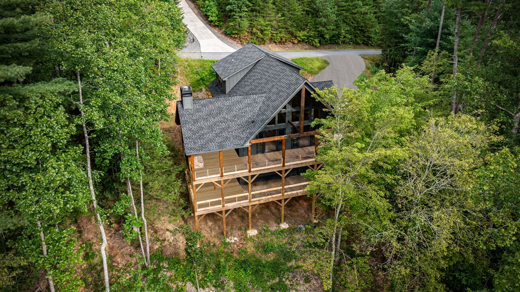 1204 Settler's Ridge Road Ellijay, GA 30540 - Photo 29 of 62 an aerial view of a house with swimming pool and trees in the background