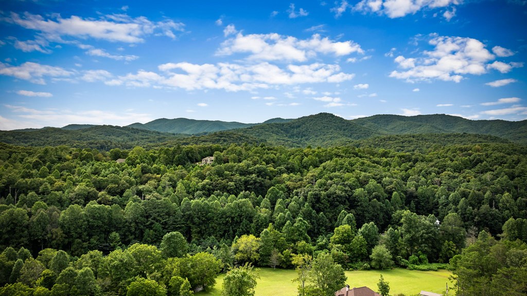 1204 Settler's Ridge Road Ellijay, GA 30540 - Photo 30 of 62 a view of a lush green forest with mountains in the background