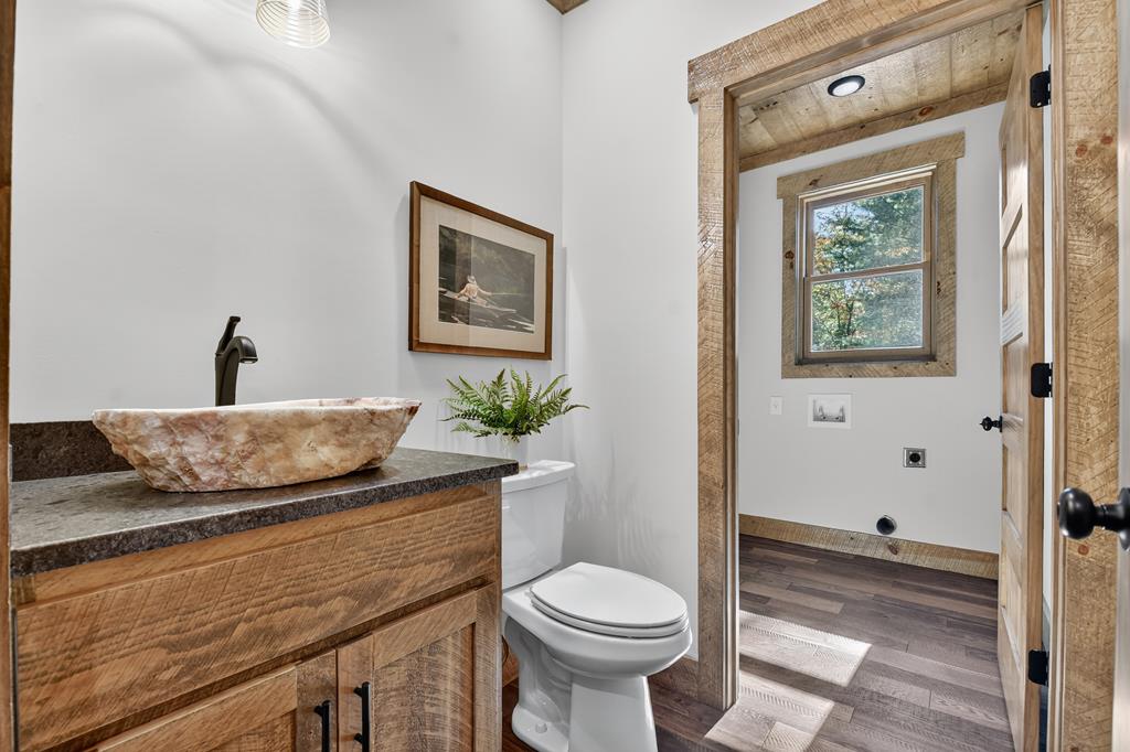 1204 Settler's Ridge Road Ellijay, GA 30540 - Photo 47 of 62 a living room with a couch and a potted plant