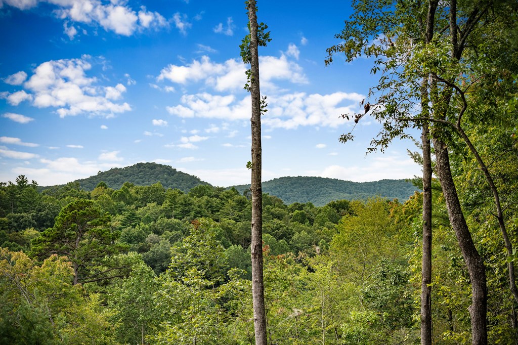 1204 Settler's Ridge Road Ellijay, GA 30540 - Photo 10 of 62 a view of a city with a tree in the background