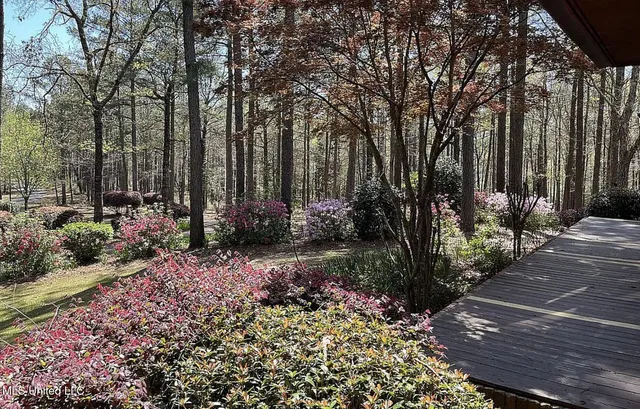 $525,000 | 119 Billy Cochran Drive, Waynesboro, MS 39367