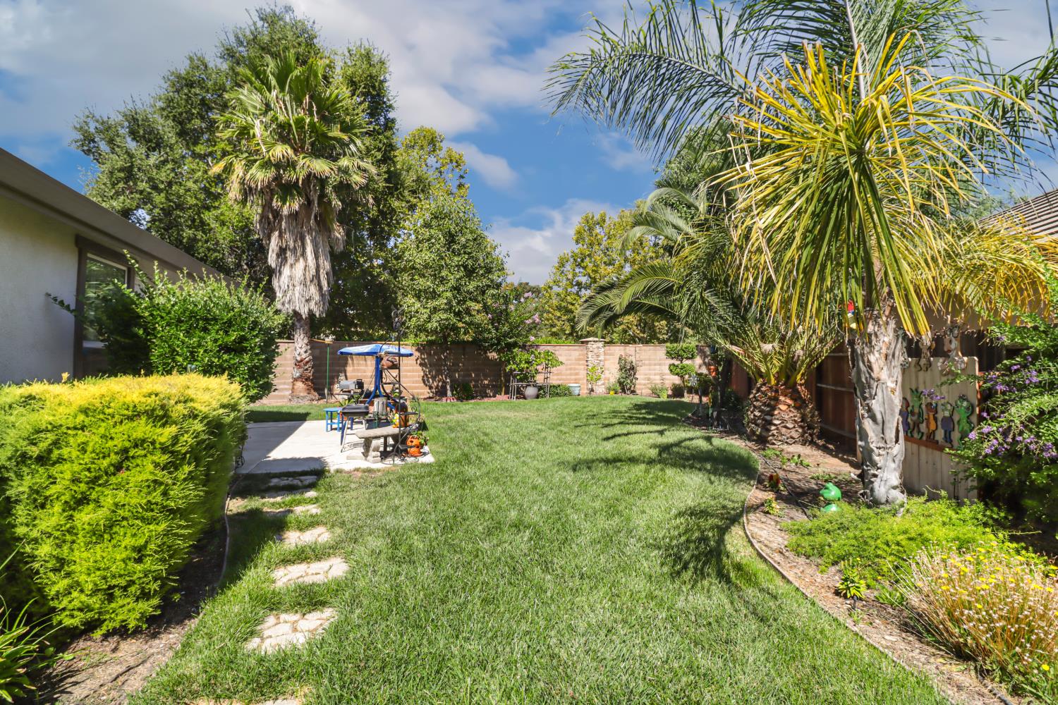 7401 Rothschild Court Elk Grove, CA 95757 - Photo 35 of 42 a view of a park with a tree
