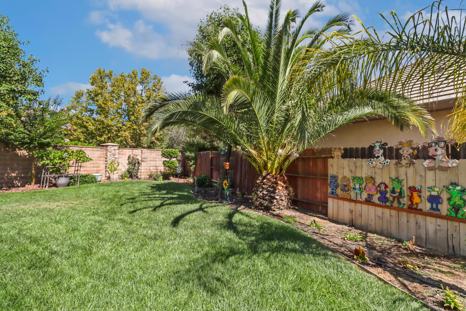 7401 Rothschild Court Elk Grove, CA 95757 - Photo 36 of 42 a backyard of a house with lots of green space