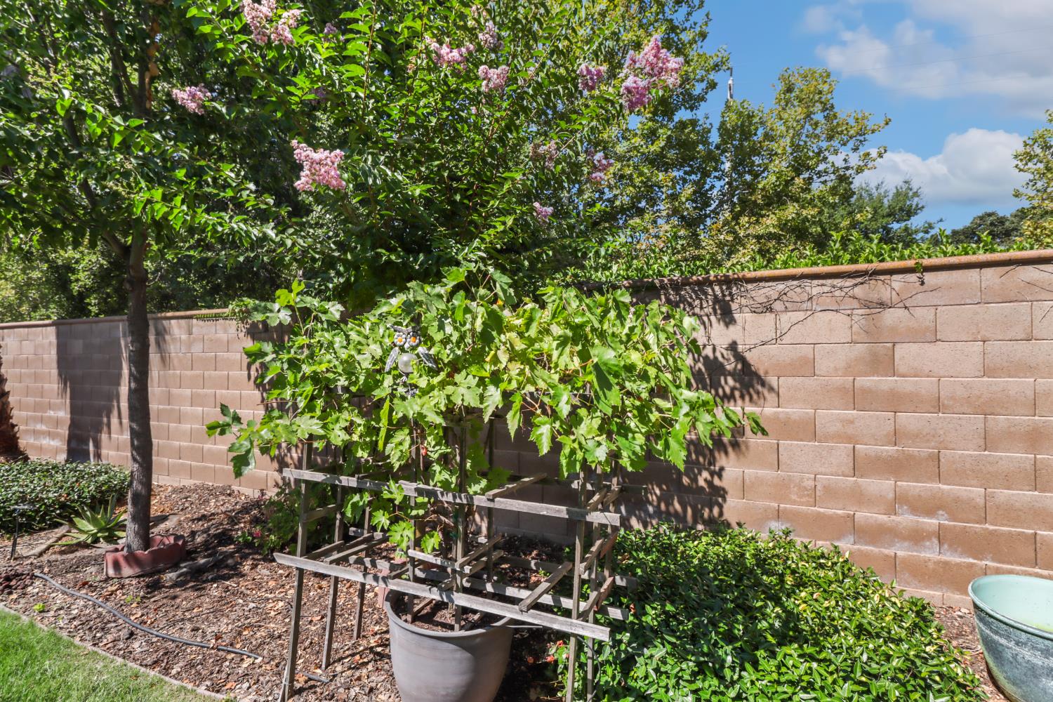 7401 Rothschild Court Elk Grove, CA 95757 - Photo 38 of 42 a backyard of a house with lots of green space