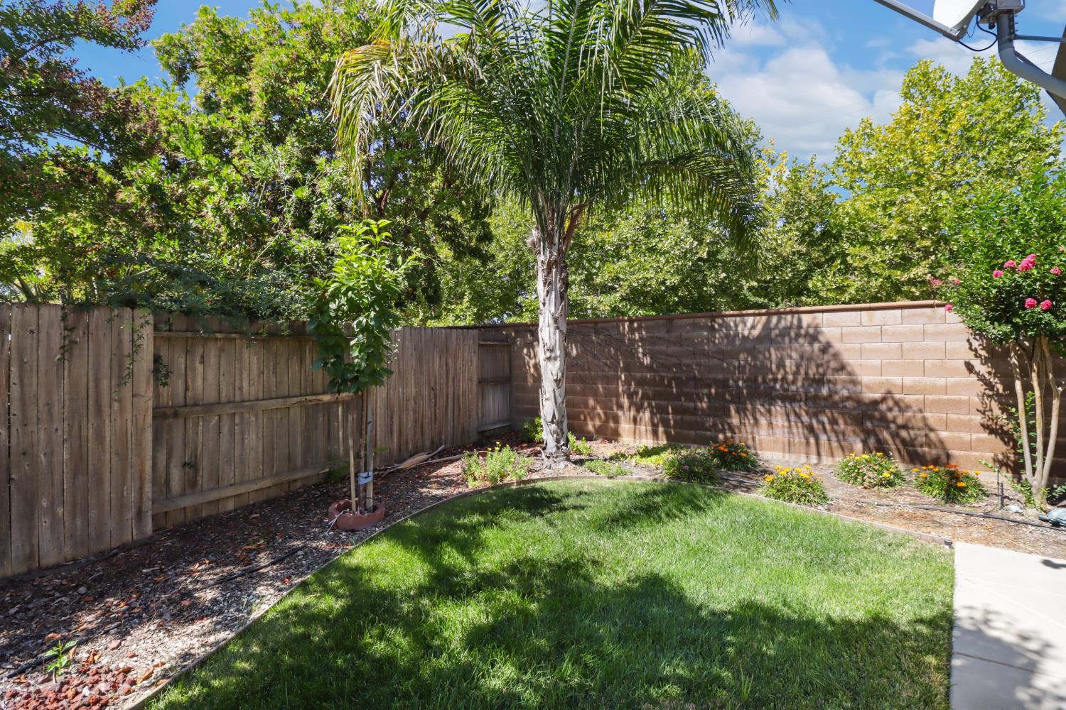 7401 Rothschild Court Elk Grove, CA 95757 - Photo 41 of 42 a view of a backyard with wooden fence and a bench